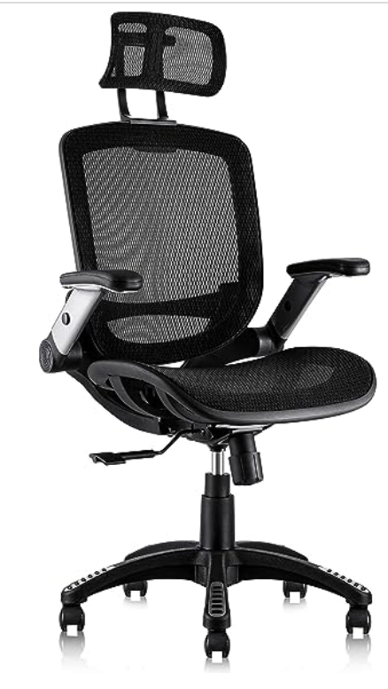 Black Gabryllyl Ergonomic Mesh office Chair for back pain

